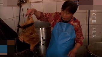 国产干老太视频 magnet,探寻神秘东方风情与古老技艺的传承之旅