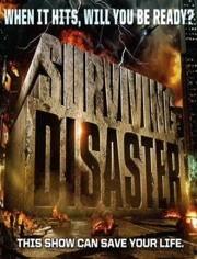 国产灾难片特色介绍视频,惊心动魄的视觉盛宴