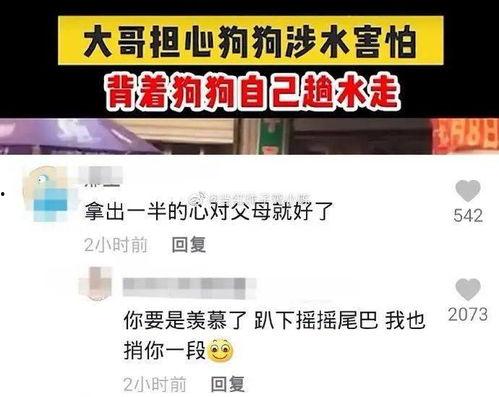 国产视频宾馆,揭秘中国影视产业的独特魅力