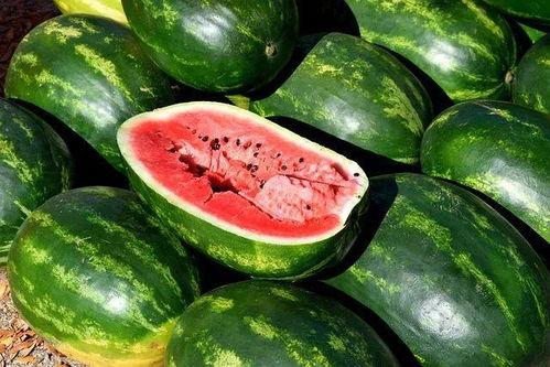 国产吃瓜视频素材下载,揭秘热门话题背后的精彩瞬间